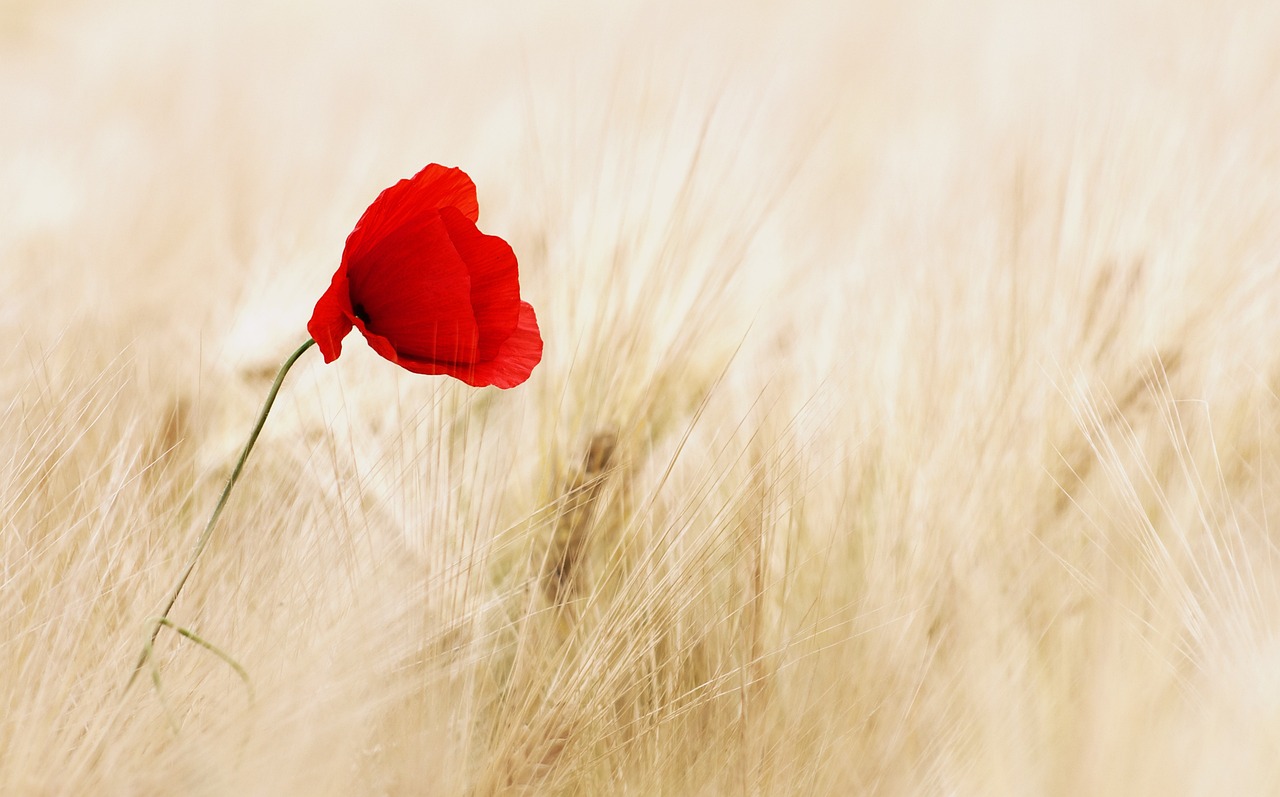 Creating Breakthroughs in Love and Forgiveness